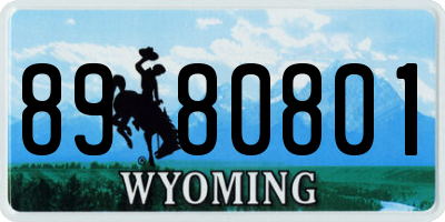 WY license plate 8980801