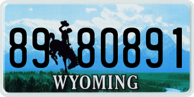 WY license plate 8980891