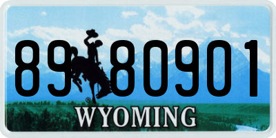 WY license plate 8980901