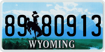 WY license plate 8980913