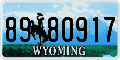 WY license plate 8980917