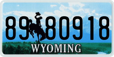 WY license plate 8980918