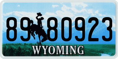 WY license plate 8980923