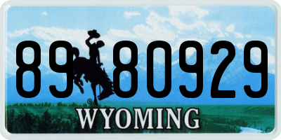 WY license plate 8980929