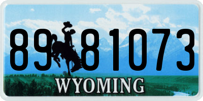 WY license plate 8981073