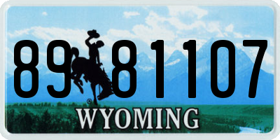 WY license plate 8981107