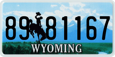 WY license plate 8981167