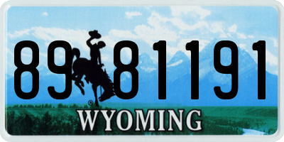 WY license plate 8981191