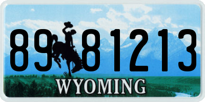 WY license plate 8981213