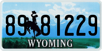 WY license plate 8981229
