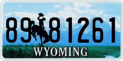 WY license plate 8981261