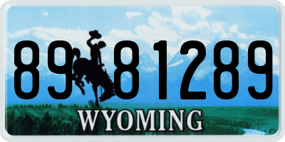 WY license plate 8981289
