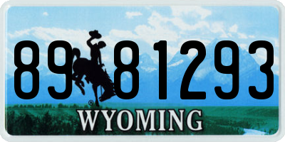 WY license plate 8981293