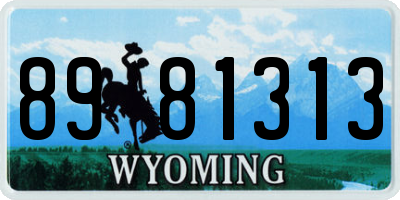 WY license plate 8981313