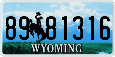 WY license plate 8981316