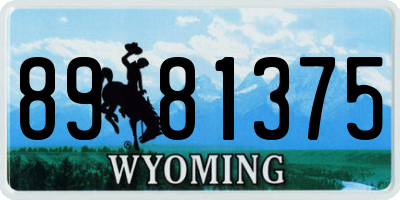 WY license plate 8981375