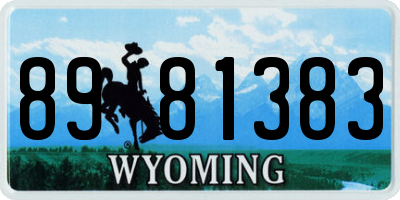 WY license plate 8981383