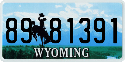 WY license plate 8981391