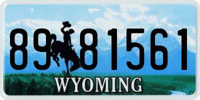 WY license plate 8981561