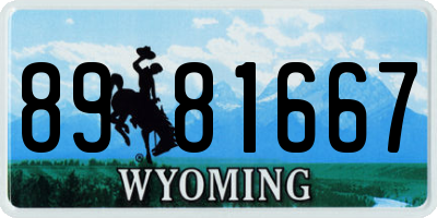 WY license plate 8981667