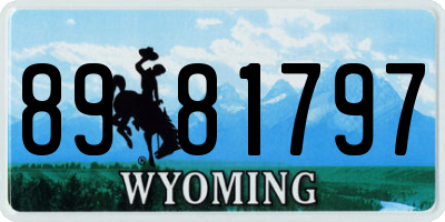WY license plate 8981797