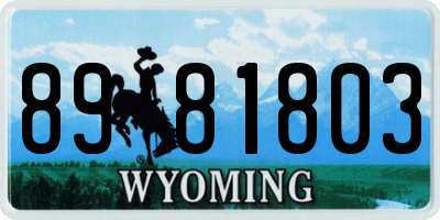 WY license plate 8981803