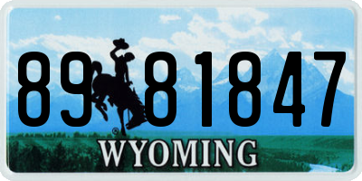 WY license plate 8981847