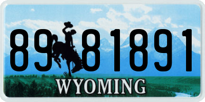 WY license plate 8981891