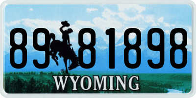 WY license plate 8981898