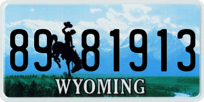 WY license plate 8981913