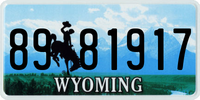 WY license plate 8981917