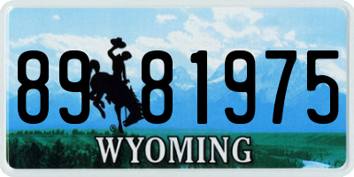 WY license plate 8981975