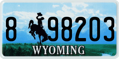 WY license plate 898203