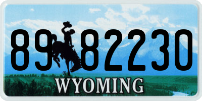 WY license plate 8982230
