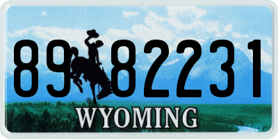 WY license plate 8982231