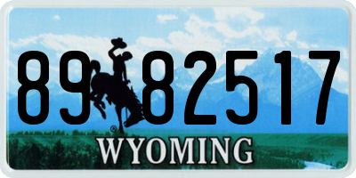 WY license plate 8982517