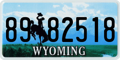 WY license plate 8982518