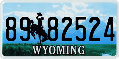 WY license plate 8982524