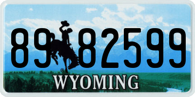 WY license plate 8982599