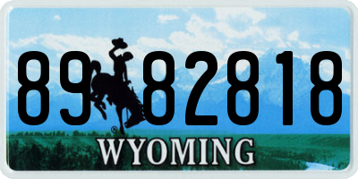 WY license plate 8982818