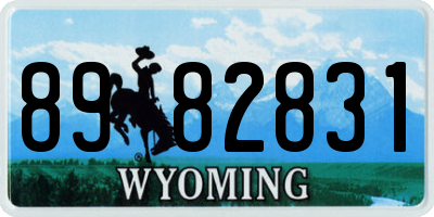 WY license plate 8982831