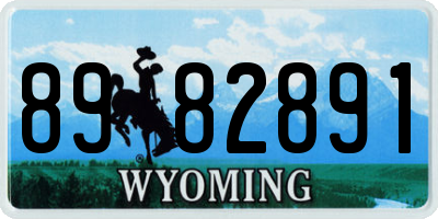 WY license plate 8982891