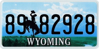 WY license plate 8982928