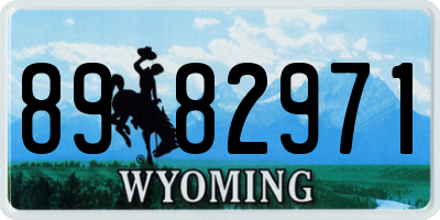 WY license plate 8982971