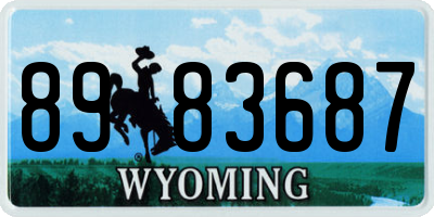 WY license plate 8983687