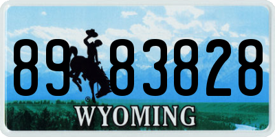 WY license plate 8983828