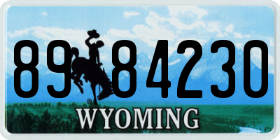 WY license plate 8984230