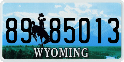 WY license plate 8985013