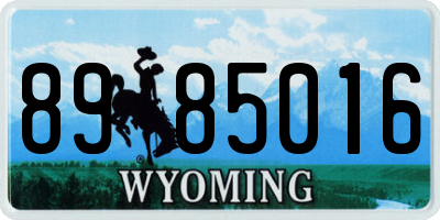 WY license plate 8985016