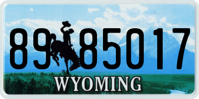 WY license plate 8985017